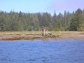 002-DSCN2002.JPG.small.jpeg