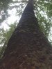 010-DSCN2010.JPG.small.jpeg