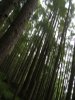 013-DSCN2013.JPG.small.jpeg