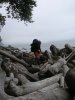 023-DSCN2024.JPG.small.jpeg