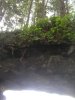032-DSCN2033.JPG.small.jpeg