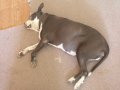 041-DSCN3403.JPG.small.jpeg