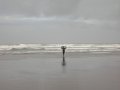 011-DSCN3294.JPG.small.jpeg