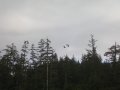 012-DSCN3300.JPG.small.jpeg