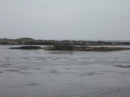034-DSCN2035.JPG.medium.jpeg