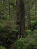 050-DSCN2058.JPG.small.jpeg