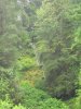 055-DSCN2070.JPG.small.jpeg
