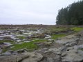 067-DSCN2086.JPG.small.jpeg